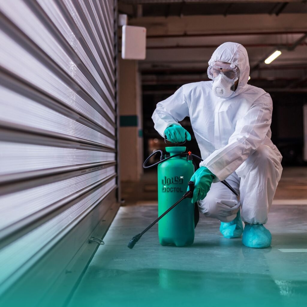 WhatsApp Image 2025-03-17 at 08.47.18_7fcad727