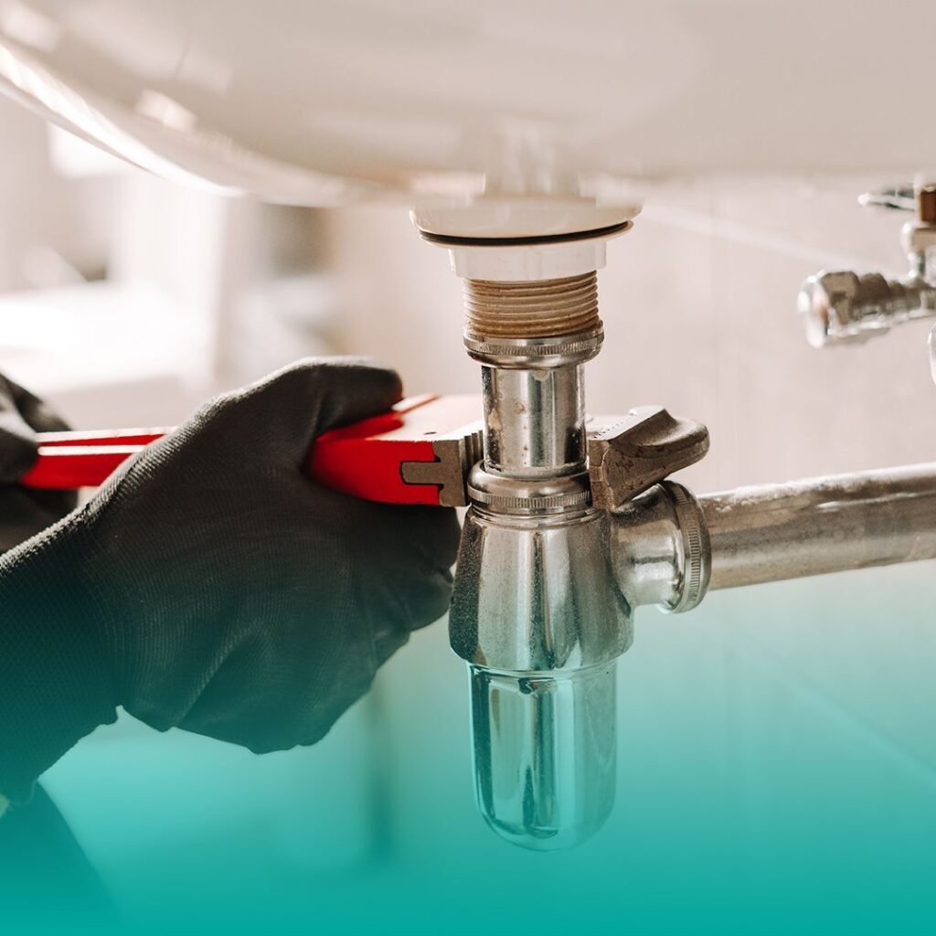 WhatsApp Image 2025-03-17 at 08.47.48_6e1bc24e