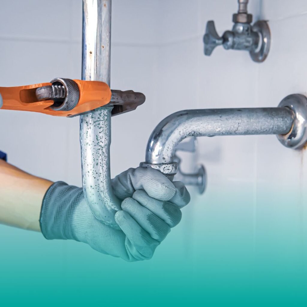 WhatsApp Image 2025-03-17 at 08.47.49_7c967127