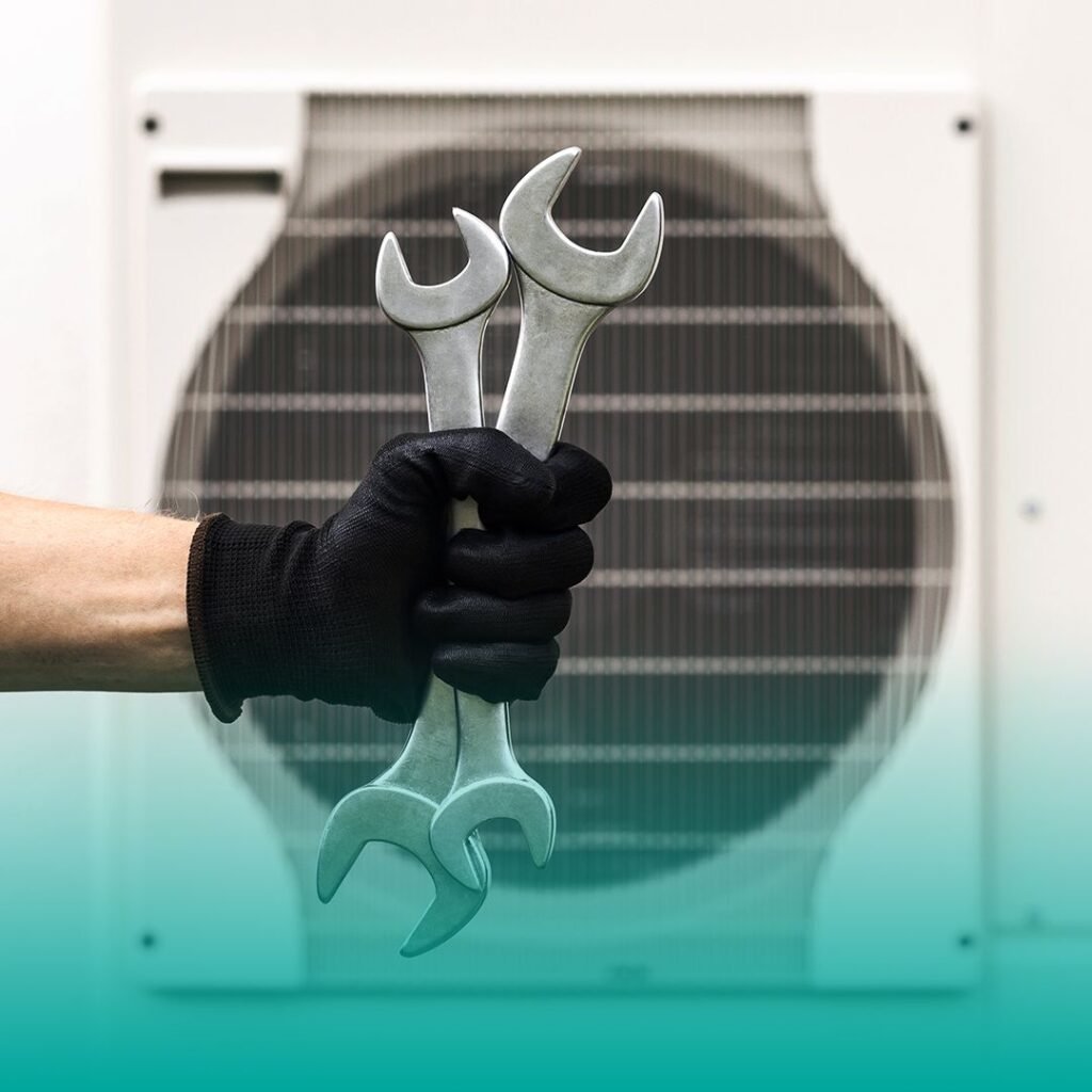 WhatsApp Image 2025-03-17 at 08.47.50_1823f729