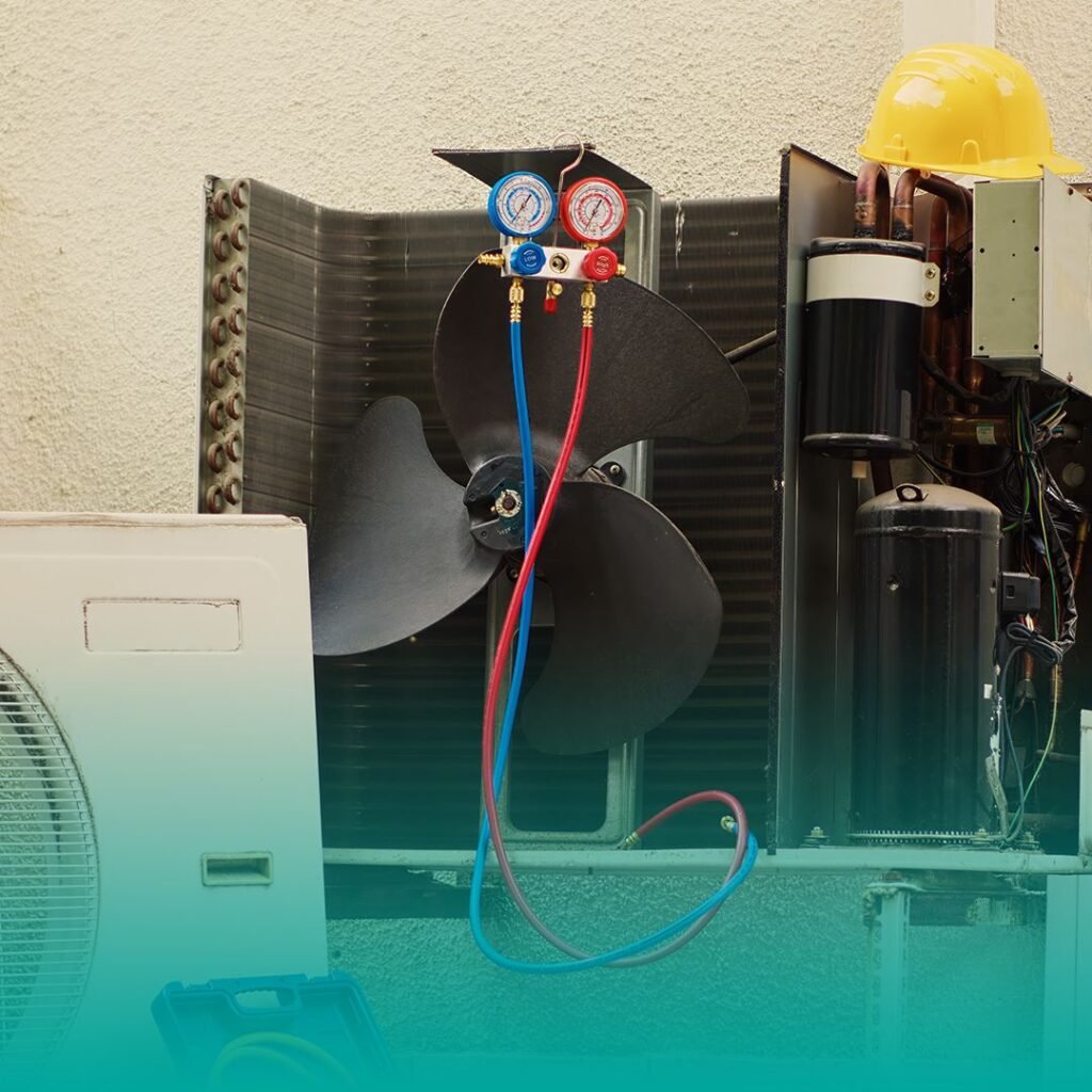 WhatsApp Image 2025-03-17 at 08.47.50_7e55f0d4